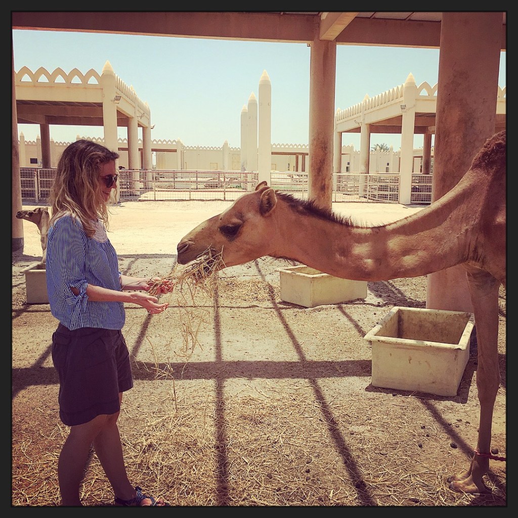 Making new friends in Bahrain in 2018.